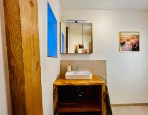 a bathroom with a sink and a mirror at INTERGO Apartments in Brackel +41 photos