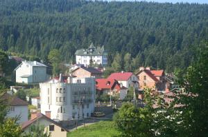 eine Stadt auf einem Hügel mit Häusern und Bäumen in der Unterkunft Hotel Three Korony in Schidnyzja