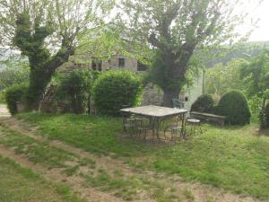 Zahrada ubytování Agriturismo Podere Palazzuolo