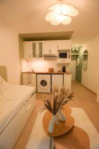 a room with a bed and a table and a kitchen at L'ombelle - Studio vert d'eau avec petit extérieur in Darnétal