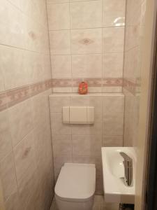 a small bathroom with a toilet and a sink at Allgäu Space in Marktoberdorf +2 photos