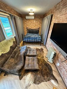 TV a/nebo společenská místnost v ubytování Fuji Dome Glamping