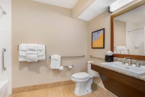 a bathroom with a sink and a toilet and a mirror at Comfort Suites Gastonia - Charlotte in Gastonia