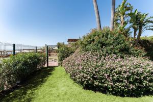 Κήπος έξω από το Amazing Venalmar Beach