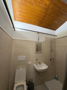 a bathroom with a toilet and a sink at Le coste sul lago in Montefiascone