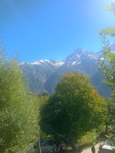 a view of a mountain range with trees in the foreground at Pranshi Home Stay Kalpa in Chini