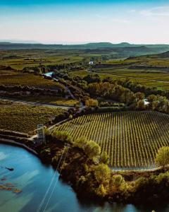 vista aerea su un fiume e sui vigneti di Crescen House, Rioja Alavesa y descanso a Baños de Ebro