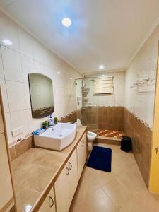 une salle de bain avec un lavabo, une douche et des toilettes dans l'établissement Pelaez house in the bogo, à Bogo
