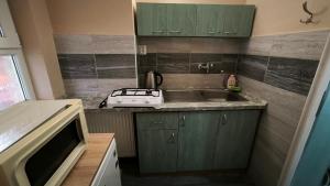 ヴェルキー・メデルにあるApartman Losonszkyの小さなキッチン(緑のキャビネット、シンク付) +8枚の写真