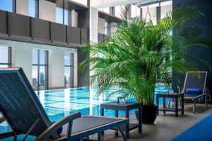 a pool with chairs and a palm tree in a building at Shijiazhuang Ximeijin Continental Hotel in Shijiazhuang