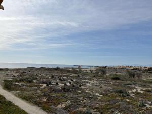 Appartement 2 pièces cabine 6 couchages PORT LEUCATE NATURISME PL080-TB21 في بورت لوكات: مجموعة من الطيور في حقل مع المحيط