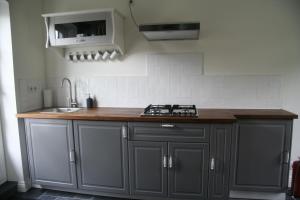 a kitchen with gray cabinets and a sink at De Oude Koeienstal in Schimmert