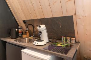 encimera de cocina con batidora y fregadero en La Cabane - Coarraze, en Coarraze 12 fotos más