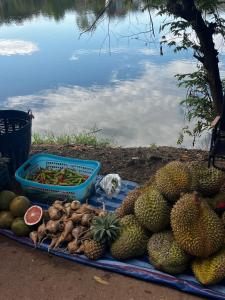 Ban Mae KhonにあるYidan Farmstay in Chiang Daoの水辺の毛布の上に果物と野菜が山積みになっている