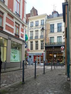 una calle adoquinada en una ciudad con edificios en Lilloise Home, en Lille