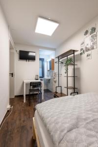 a bedroom with a bed and a desk and a television at Mount Pilatus Rooms Lucerne in Lucerne
