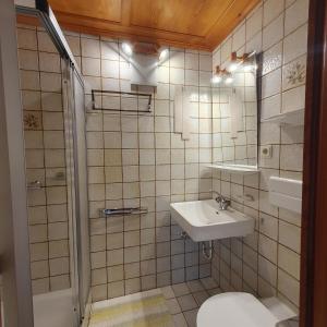 a bathroom with a sink and a toilet and a shower at Haus Salzmann in Sankt Gallenkirch