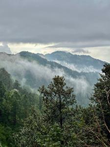 a view of a mountain with clouds and trees at Krishna home stay in Tārna +13 photos