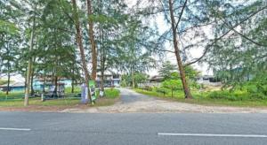 une rue vide bordée d'arbres dans l'établissement OYO 90596 Casaria Inn, à Paka