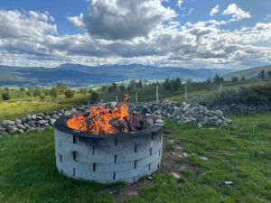 a fire pit in the middle of a field at Bottheimsætra 