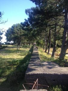 Paesaggio naturale nelle vicinanze dell'affittacamere