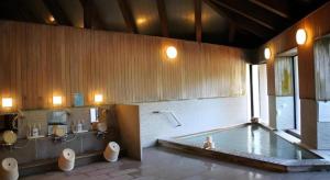 a large bathroom with a tub and two toilets at TOYOTA Shirakawa-Go Eco-Institute in Shirakawa +203 photos
