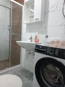 Un baño con lavadora y lavabo. en Il sogno apartman, en Vranješ