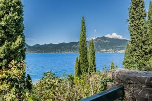 a view of a lake between two trees at Panoramic Lake View Apartments with Pool & Breakfast in Torri del Benaco