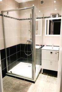 a bathroom with a shower and a sink at Bel appartement proche de toutes commodités in Grenoble