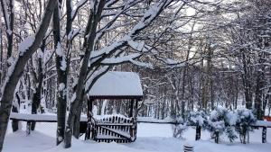 Cabañas Bosque Del Faldeo durante o inverno