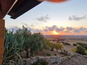 ドンナフガータにあるShangrila EcoFarmの田園風景家の夕日