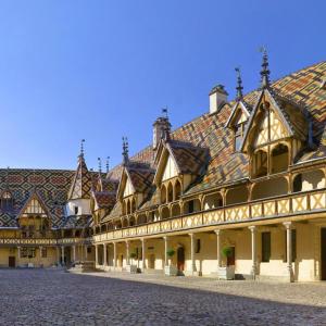 a large building with a tiled roof on a street at Chez les Loulous in Chailly-sur-Armançon