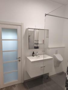 un bagno bianco con lavandino e WC di Moderne 2-Zimmer-Ferienwohnung in zentraler, ruhiger Lage a Drolshagen