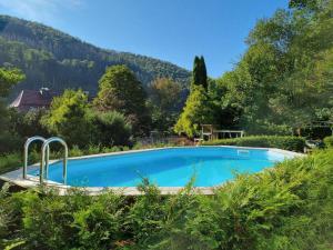 a swimming pool in a garden with a mountain at Gruppenunterkunft-Klein-Holland-Harz-aussergewoehnlich-und-einzigartig-mit-grossartiger-Unterhaltung-fuer-jedes-Alter-fuer-bis-zu-24-Personen in Herzberg am Harz +88 photos