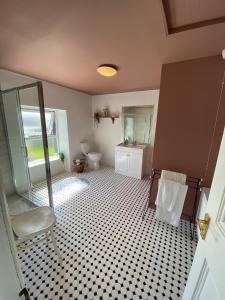 un baño con ducha y WC en Cashel town house 4 bed, en Cashel 37 fotos más