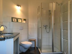 a bathroom with a shower and a toilet and a sink at Badeuferhaus in Hestoft