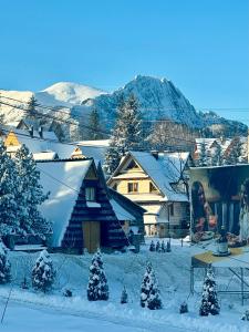 un pueblo cubierto de nieve con una montaña en el fondo en Koperkowe Domki Zakopane, en Zakopane