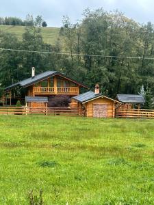 a log house in a field of green grass at Pensiunea Plaiul Bucovinei in Şarul Dornei