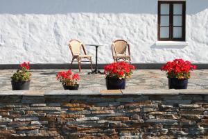 Fotografie z fotogalerie ubytování Hoby Gård v destinaci Borrby