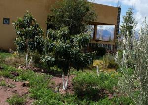 Aed väljaspool majutusasutust berber discovery land +23 fotot