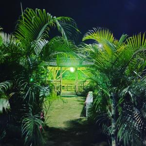 a group of palm trees in front of a building at Paat Halodhiya Farm Stay in Kāhārpāra +4 photos