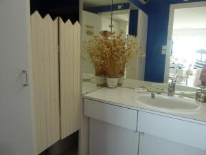 a bathroom with a sink and a mirror at Joli studio Hardelot face mer, à 100m du centre-ville! in Hardelot-Plage