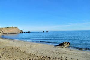 a dog laying on a sandy beach near the ocean at Appt Studio 2 couchages CAP D'AGDE CT121-022 in Cap d'Agde