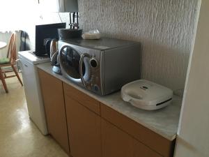 eine Mikrowelle auf einer Theke in der Unterkunft Apartment Zorec in Maribor