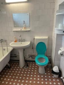 a bathroom with a blue toilet and a sink at Apartament Eric in Craiova