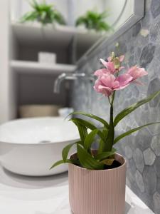 a pink flower in a pot on a counter in a bathroom at Ines Apartments in Giardini Naxos +156 photos