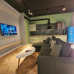 un salon avec un canapé et une télévision dans l'établissement Mardan Bro, à Baku 39 autres photos