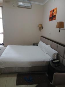 Un dormitorio con una gran cama blanca en una habitación. en Kitsel Hotel, en Bahir Dar
