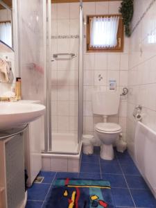 a bathroom with a toilet and a shower and a sink at Ferienhaus Nr 5, Typ A, Feriendorf Jägerpark, Bayerischer Wald in Prackenbach +7 photos
