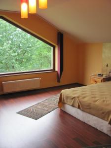 a bedroom with a bed and a large window at Casa Roatis in Şişeşti